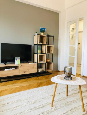 Lovely apartment in the heart of the city center